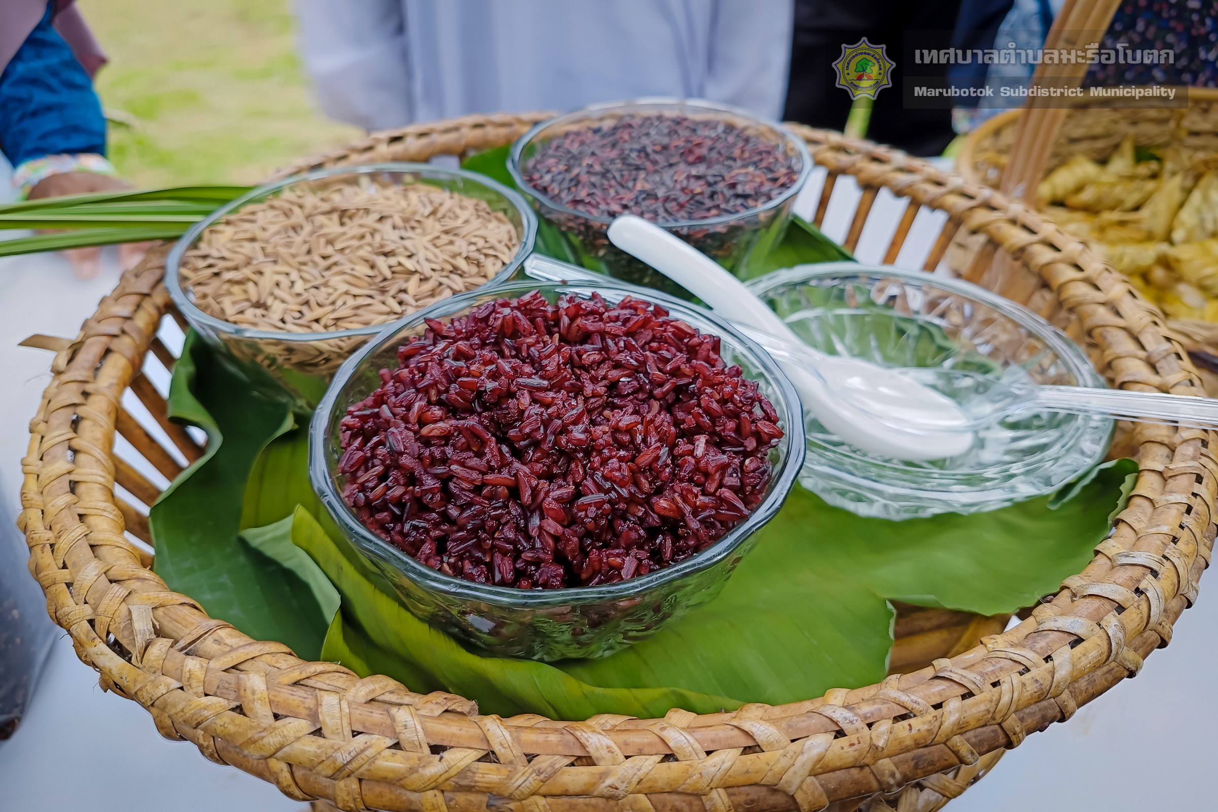 ข้าวไรซ์เบอรี่ เกษตรอินทรีย์