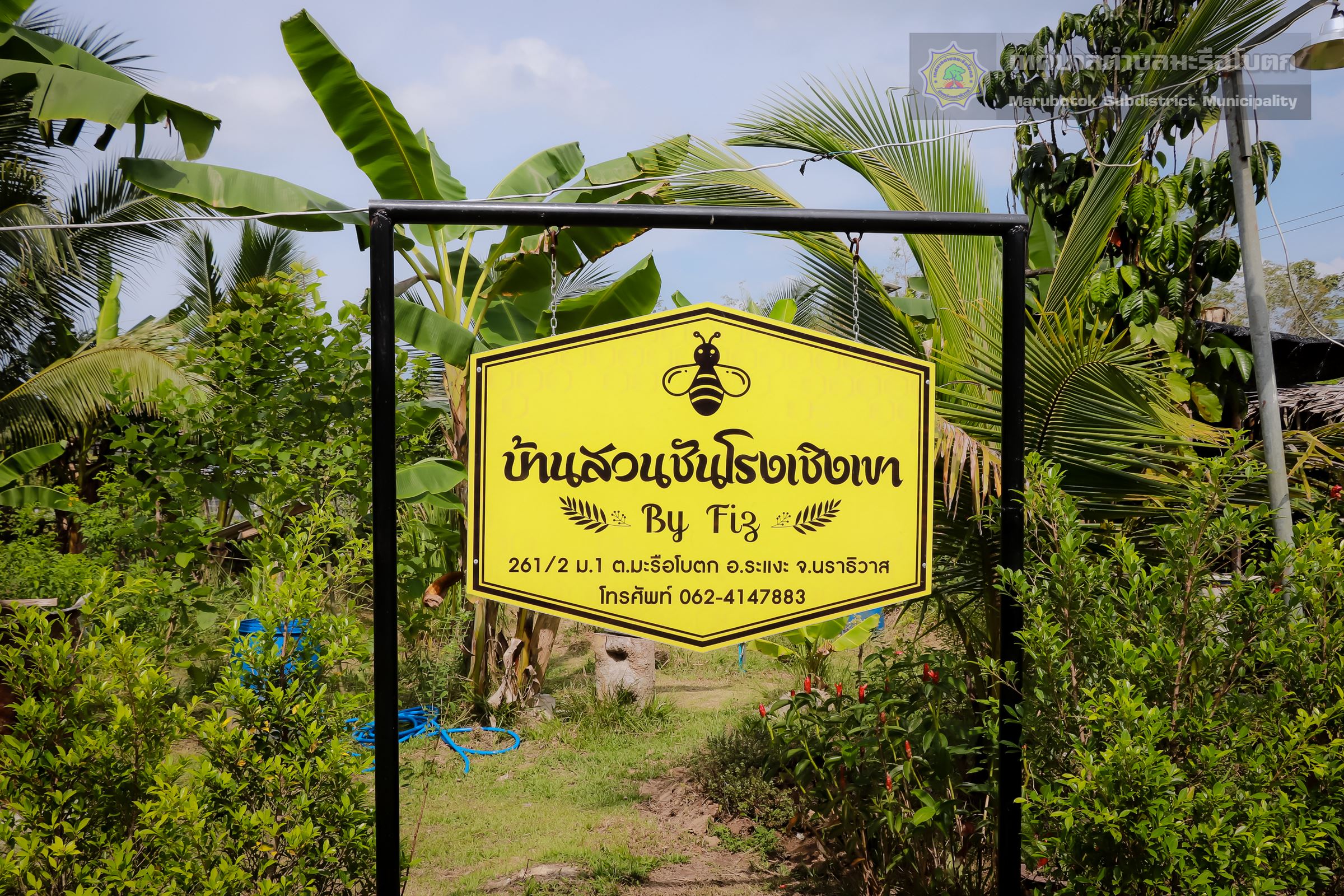 แหล่งเรียนรู้โครงการ จาโป โมเดล (บ้านผึ้งชันโรงเชิงเขา)